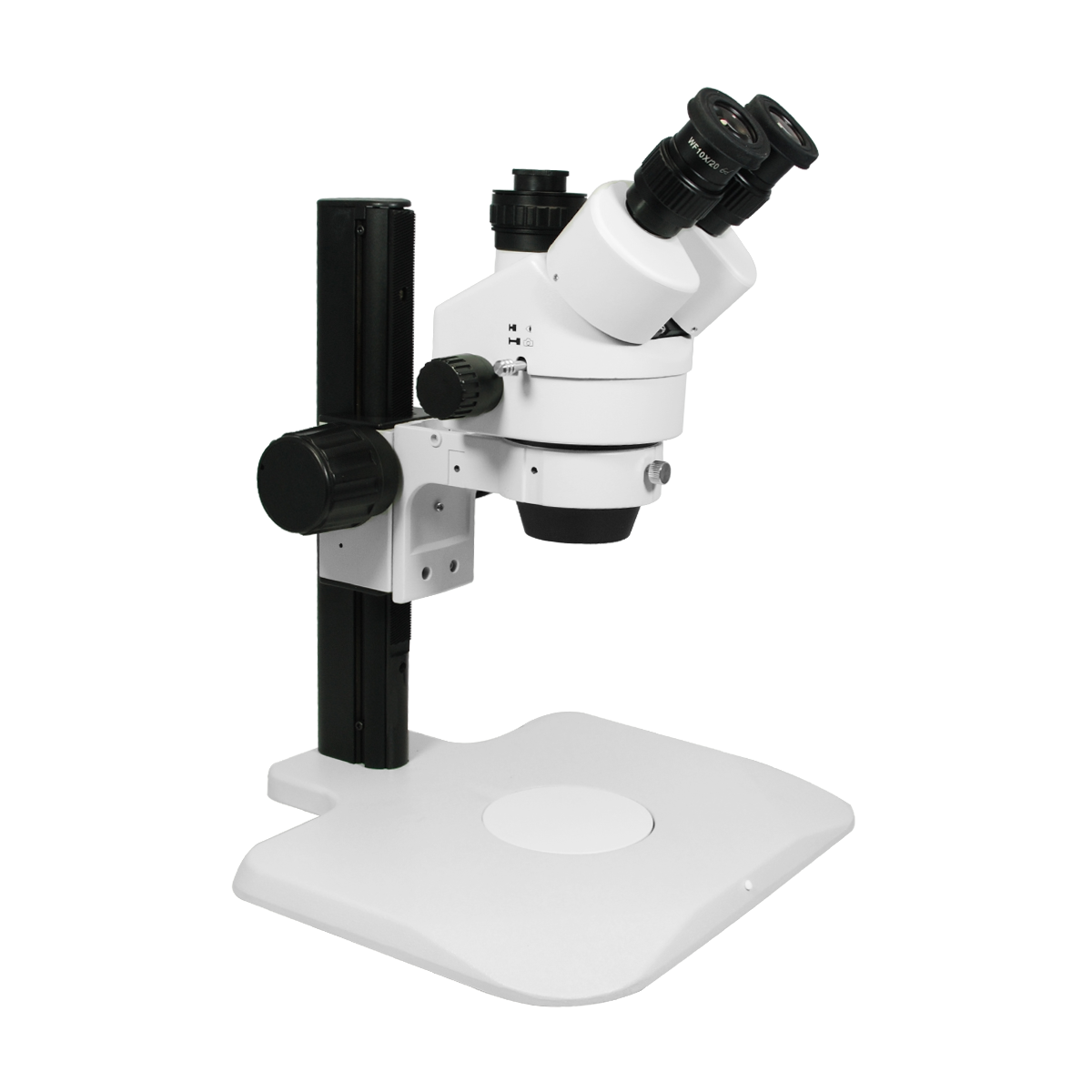Stereo Microscope